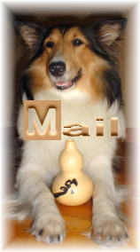 ���[���͂������