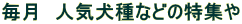 �����@�l�C����Ȃǂ̓��W��