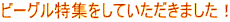 �r�[�O�����W�����Ă��������܂����I