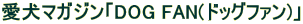 �����}�K�W���uDOG FAN(�h�b�O�t�@��)�v