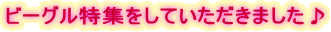�r�[�O�����W�����Ă��������܂�����