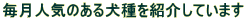 �����l�C�̂��錢����Љ�Ă��܂�