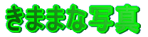 ���܂܂Ȏʐ^