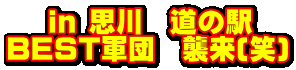 @ in v@̉w BESTRc@P()