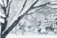 雪景色