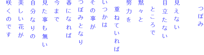 　つぼみ

見えない
目立たない
　ところで
黙々と
努力を
　重ねていれば
いつかは
その事が
つぼみとなり
春になれば
今まで
見た事も無い
自分なりの
美しい花が
咲くのです