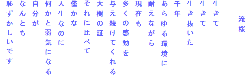 　　滝桜

生きて
生きて
生き抜いた
千年
あらゆる環境に
耐えながら
現在も
多くの感動を
与え続けてくれる
大樹の証
それに比べて
僅かな
人生なのに
何かと弱気になる
自分が
なんとも
恥ずかしいです